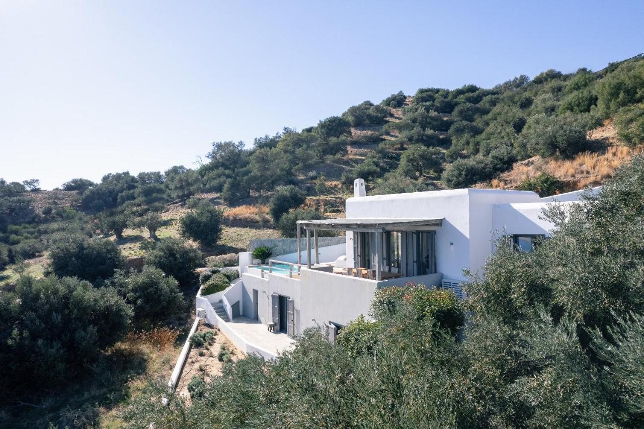 Villa Nissos 普拉基亚斯 外观 照片